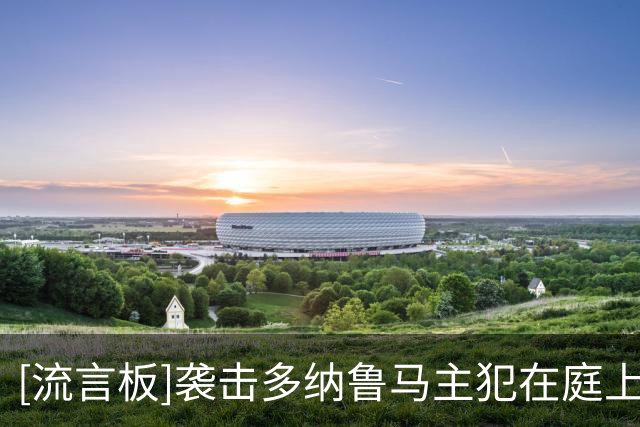 [流言板]袭击多纳鲁马主犯在庭上变脸：称童年不幸+有一颗金子般的心